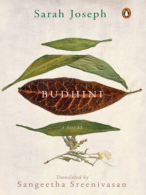 cover image of Budhini